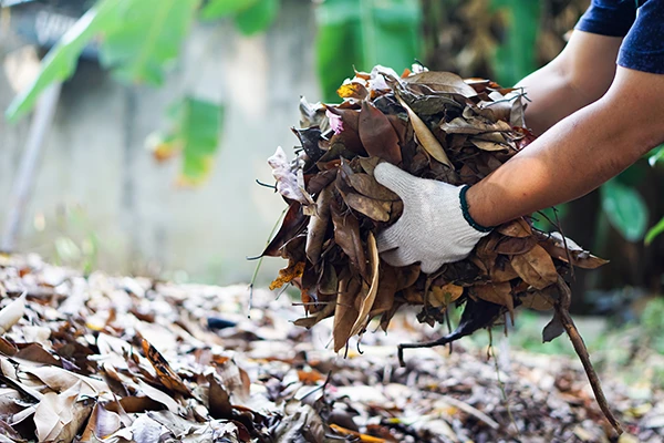 Yard Waste Cleanup